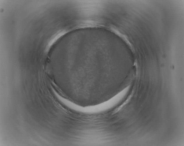 X0000071851453200607211840