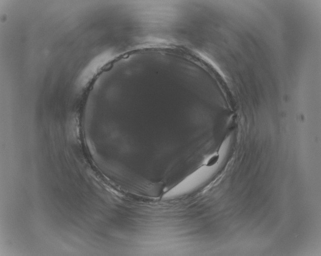 X0000071851455200607211840