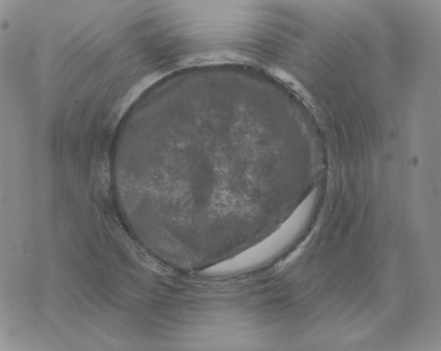 X0000071851457200607211840