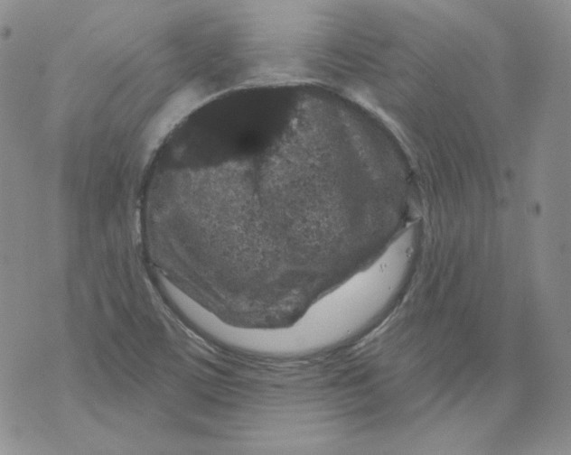 X0000071851459200607211840