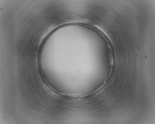 X0000071851460200607211840