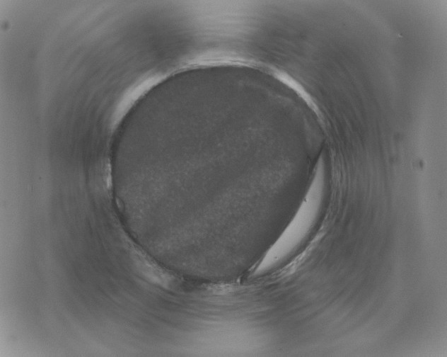 X0000071851461200607211840