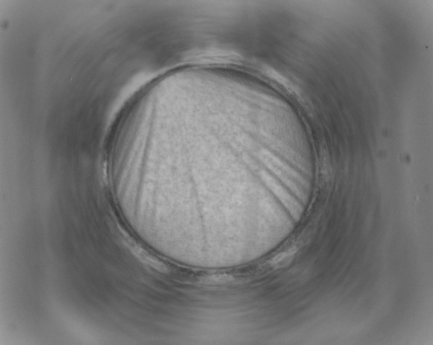 X0000071851462200607211840