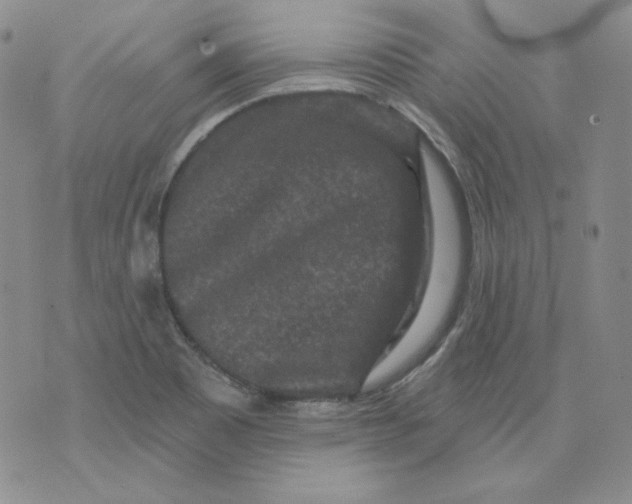 X0000071851465200607211840