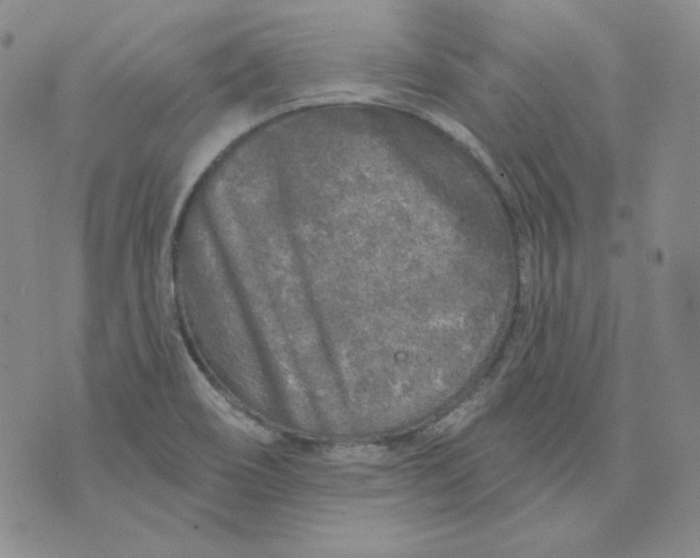 X0000071851466200607211840