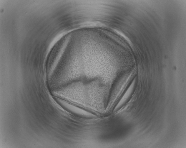 X0000071851467200607211840