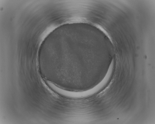 X0000071851469200607211840