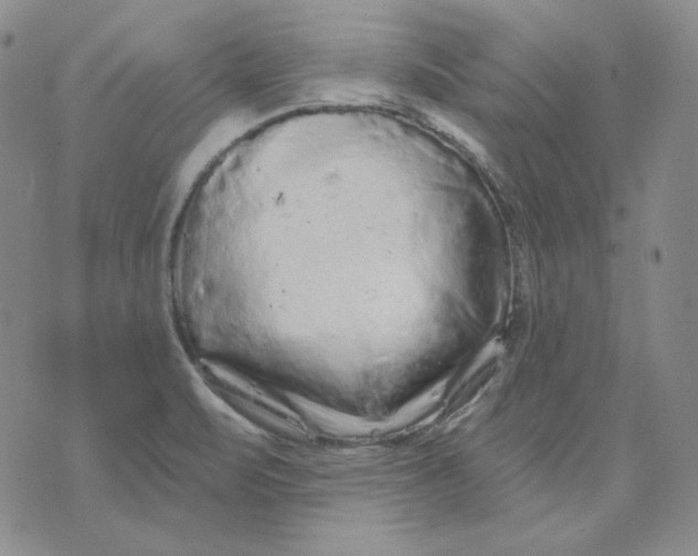 X0000071851471200607211840