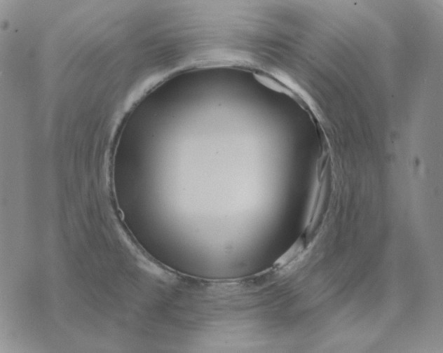 X0000071851477200607211840