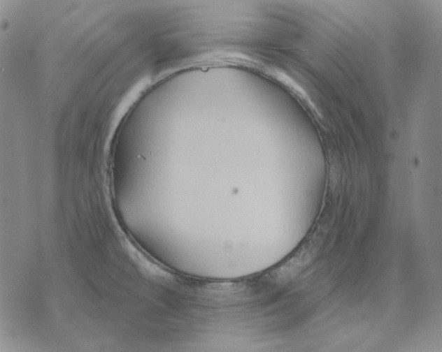 X0000071851478200607211840