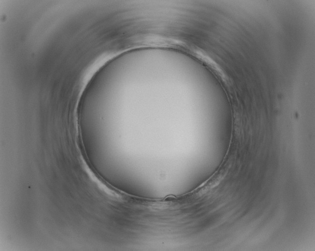 X0000071851479200607211840