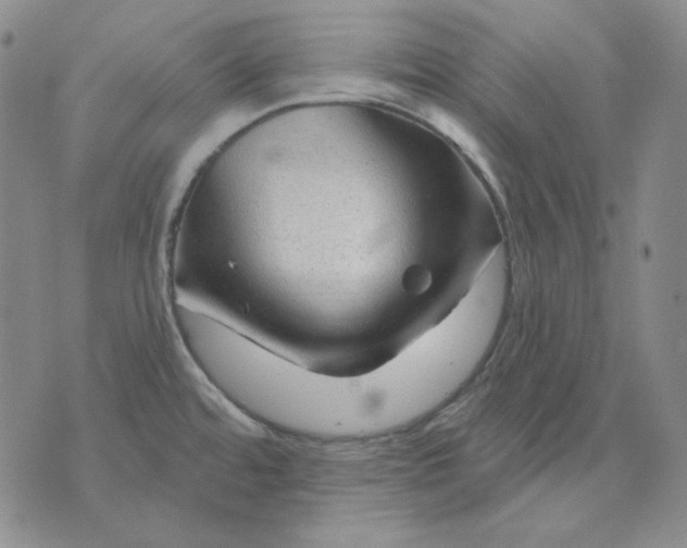 X0000071851480200607211840