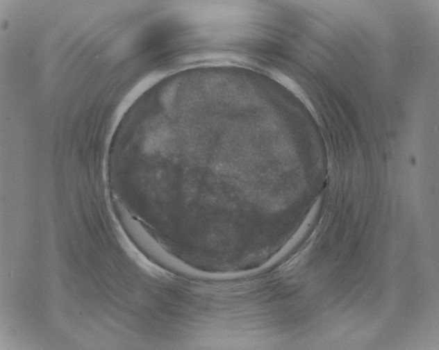 X0000071851482200607211840