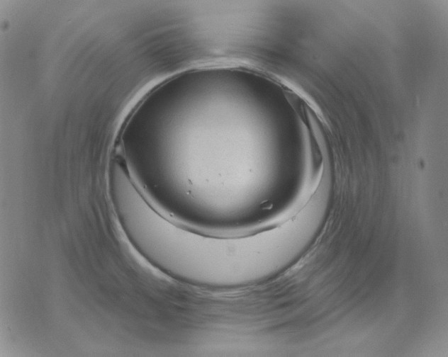 X0000071851484200607211840