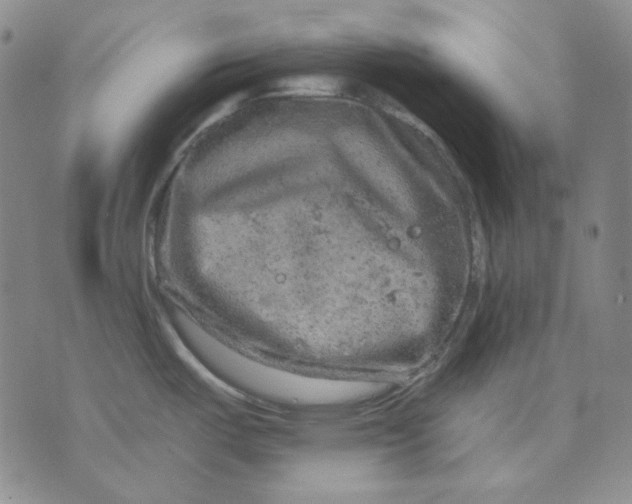 X0000071851487200607211840