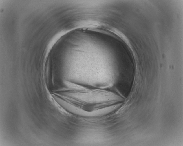 X0000071851488200607211840