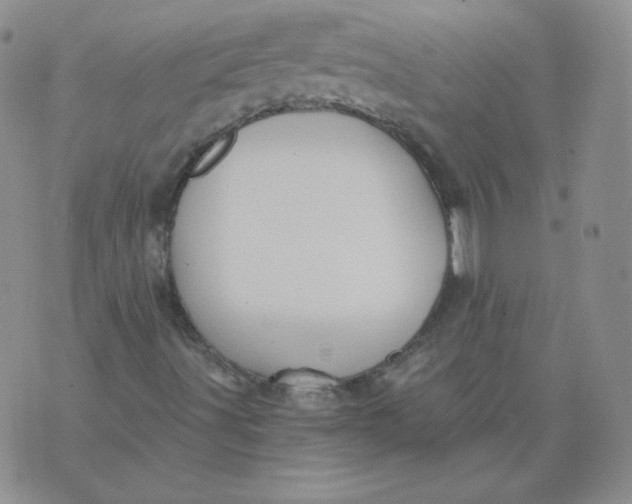 X0000071851491200607211839