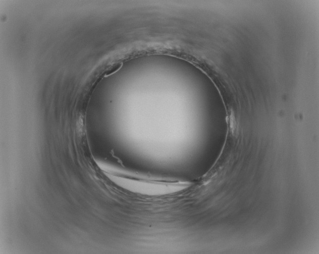 X0000071851492200607211839