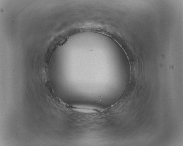 X0000071851493200607211839