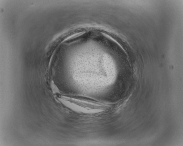 X0000071851494200607211839