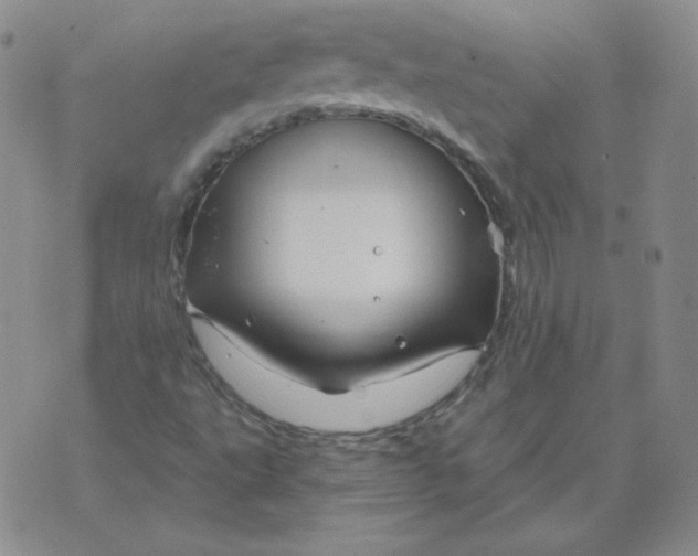 X0000071851495200607211839