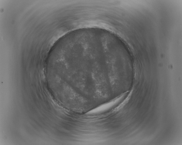 X0000071851497200607211839