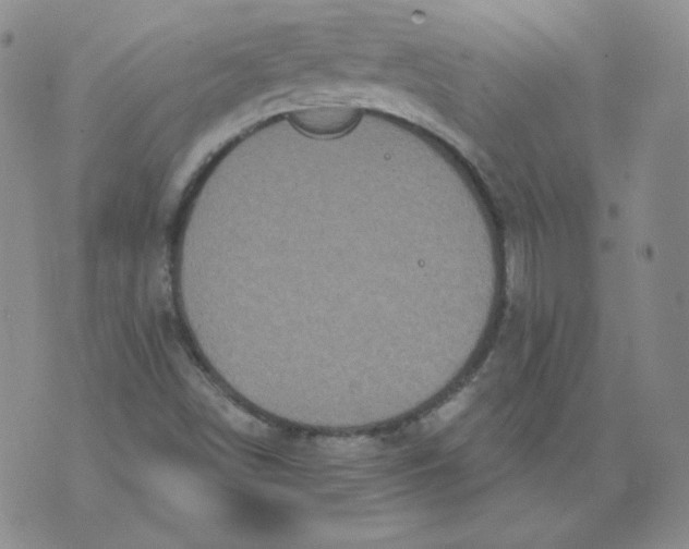 X0000071851498200607211839