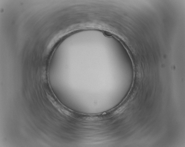 X0000071851499200607211839