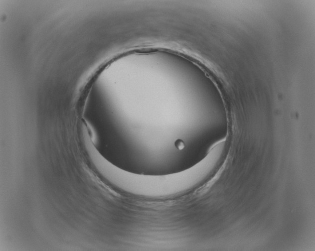 X0000071851502200607211839