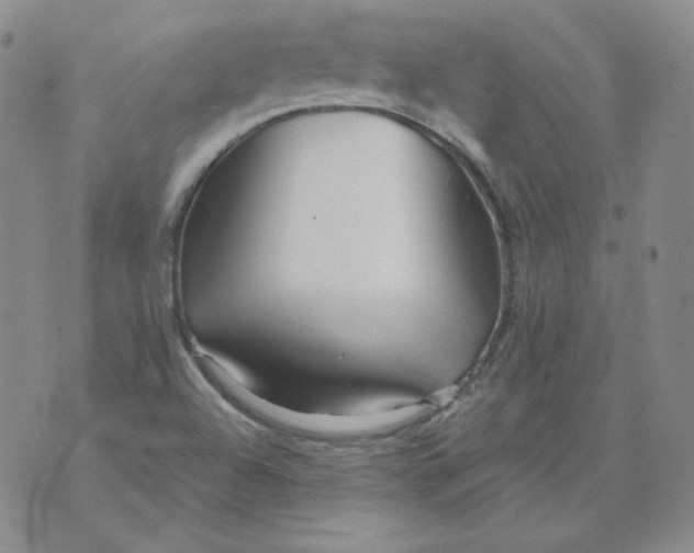 X0000071851504200607211839