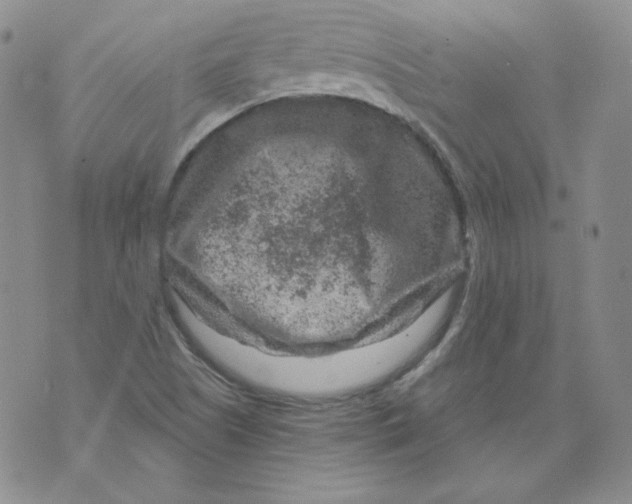 X0000071851505200607211839