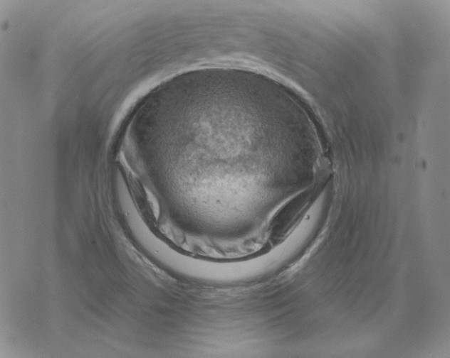 X0000071851506200607211839