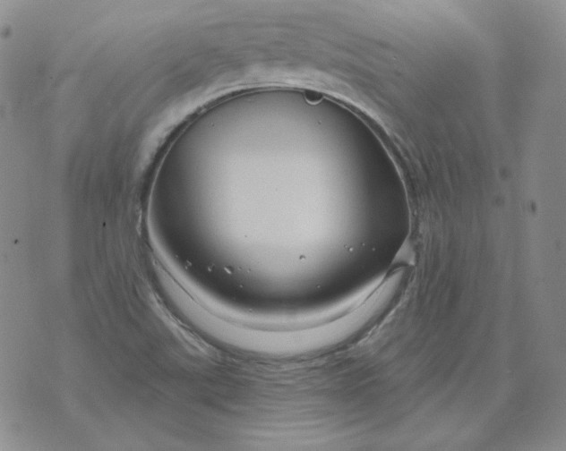 X0000071851507200607211839