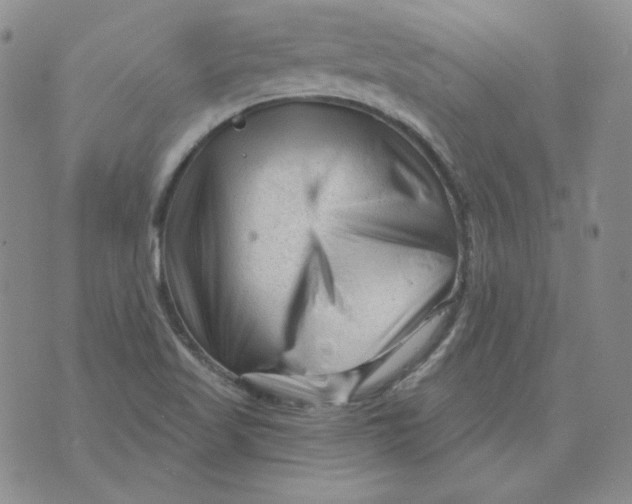 X0000071851509200607211839