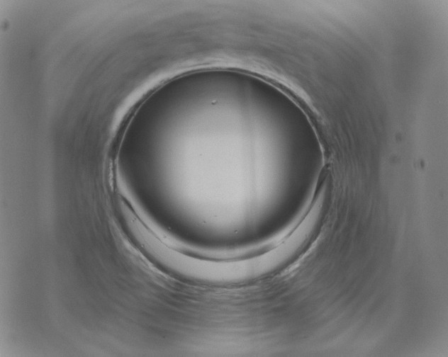 X0000071851510200607211839