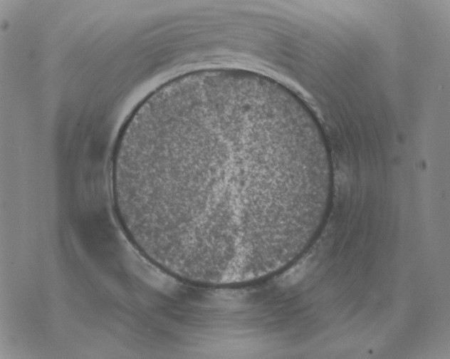 X0000071851514200607211839