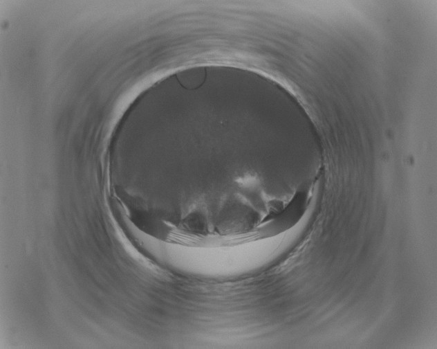 X0000071851515200607211839