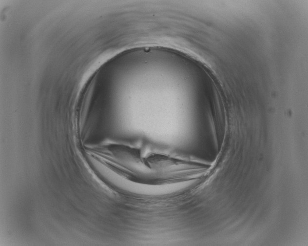 X0000071851517200607211839