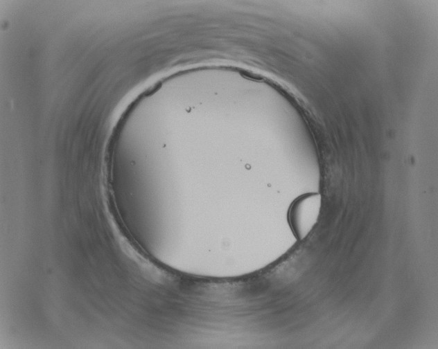 X0000071851518200607211839