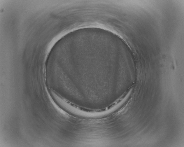 X0000071851519200607211839