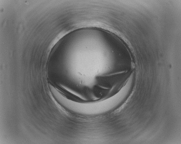 X0000071851521200607211839