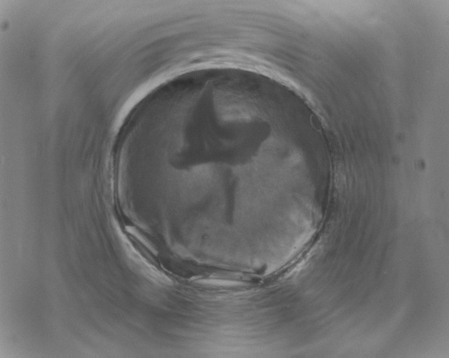 X0000071851522200607211839