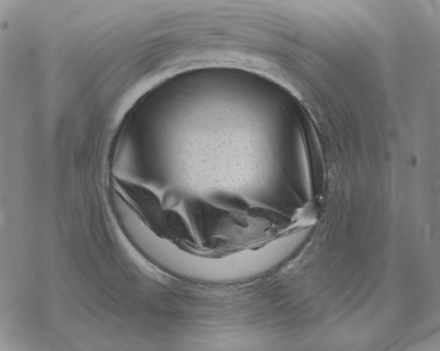 X0000071851523200607211839