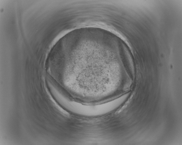 X0000071851525200607211839