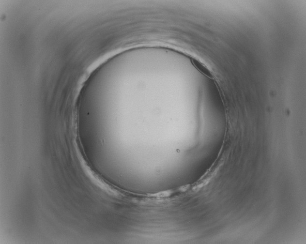 X0000071851526200607211839