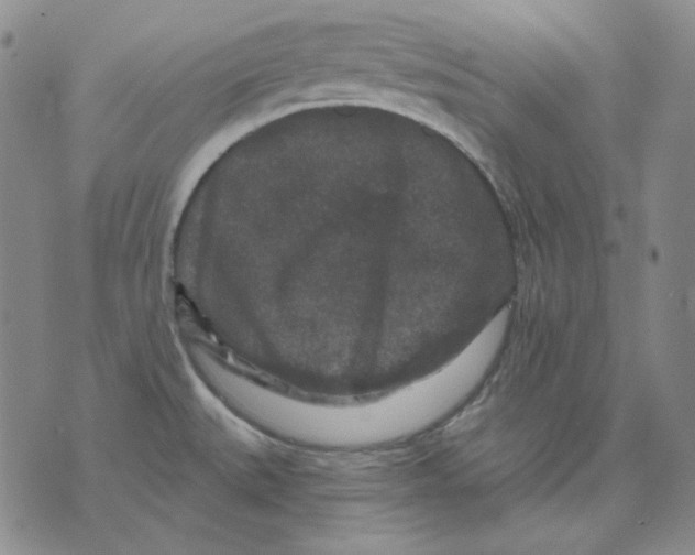 X0000071851527200607211839