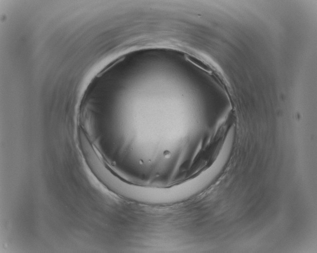 X0000071851528200607211839