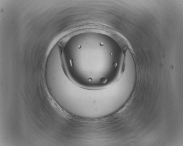 X0000071851530200607211840