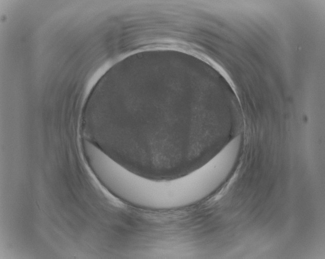 X0000071851533200607211840