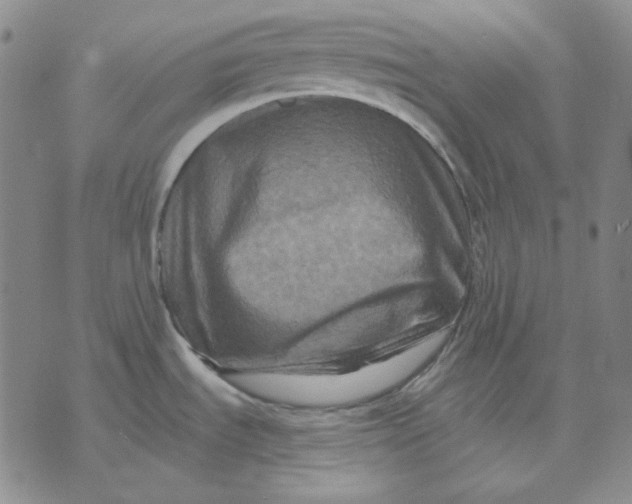 X0000071851535200607211840